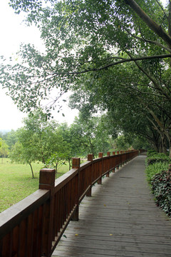 公園景觀