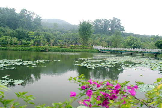 公園景觀