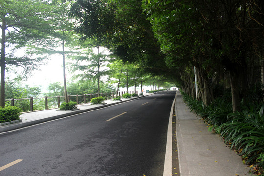 公園景觀