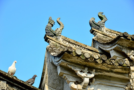 屋檐