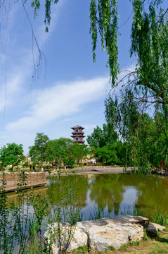 園林 小景
