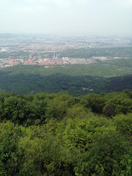 紫金山 頭陀嶺 鐘山風(fēng)景區(qū)