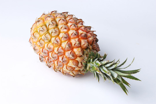 菠蘿