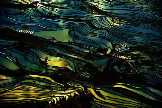 元陽(yáng)梯田