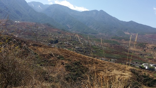 山上人家