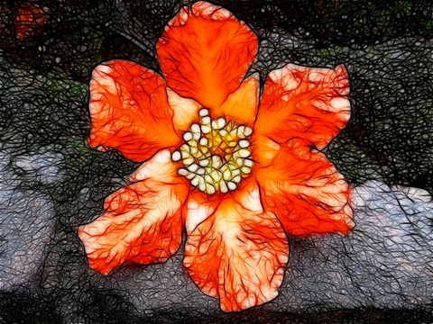 紅花裝飾畫