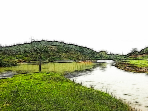 田野風(fēng)光