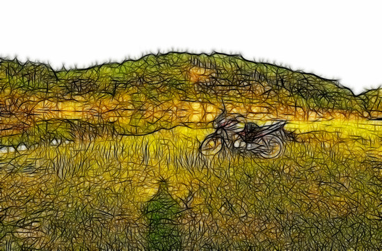 田野風(fēng)光