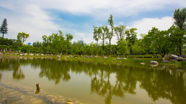 錦城公園