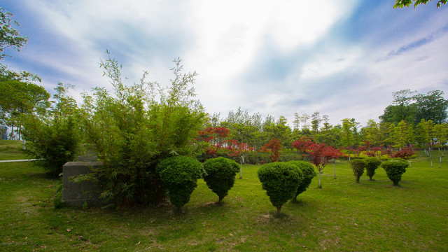 錦城公園