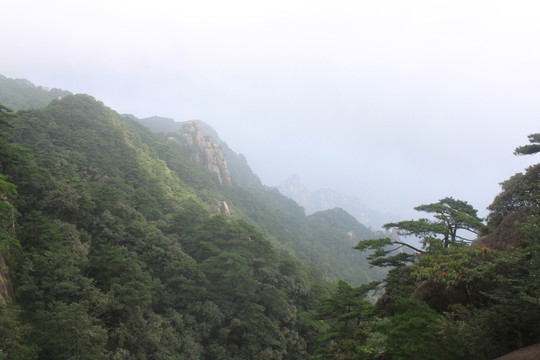 井岡山