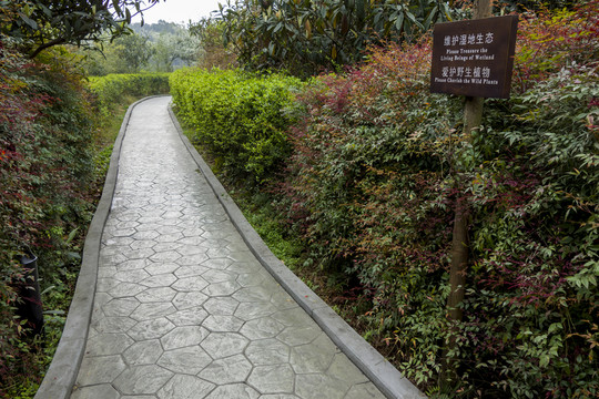 公園道路