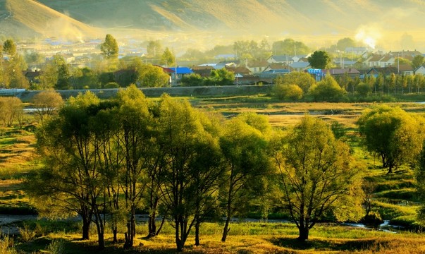 山村早晨 樹林 飲煙