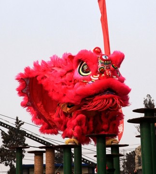 梅花樁上舞南獅