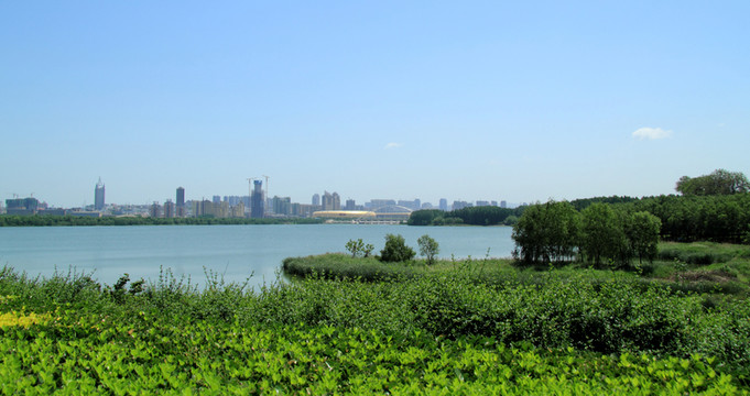 城市風(fēng)光