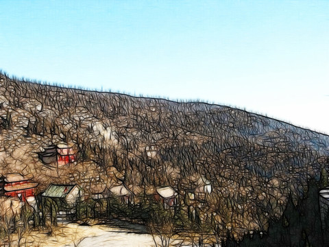 叢林風(fēng)景
