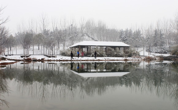 鄭州大學(xué)雪景