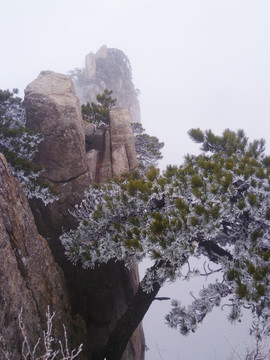 安徽 黃山雪景