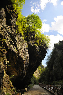 官鵝溝