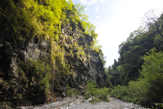官鵝溝