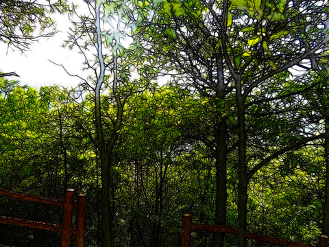 園林風(fēng)景