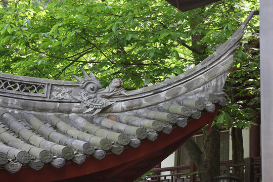 屋脊