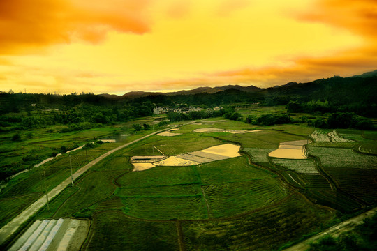 南方鄉(xiāng)村