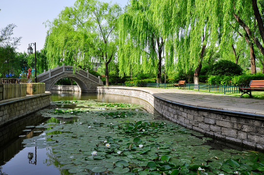 大明湖 公園