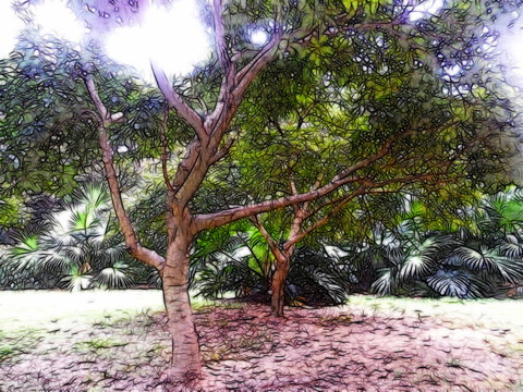 園林風(fēng)景畫(huà)