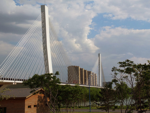 沈陽富民橋 拉索橋