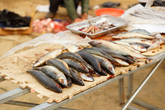 魚(yú)攤 集市