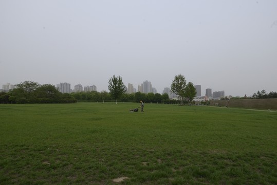 大明宮國家遺址公園