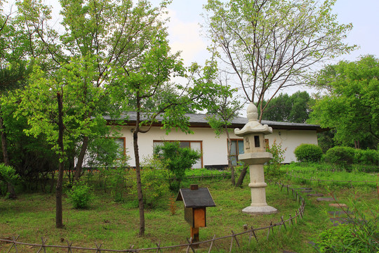 草地