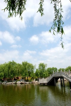 園林景觀