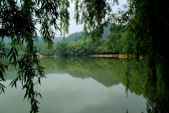 湖畔春景