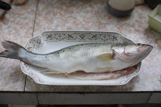 鱸魚