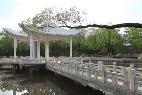 天鵝湖