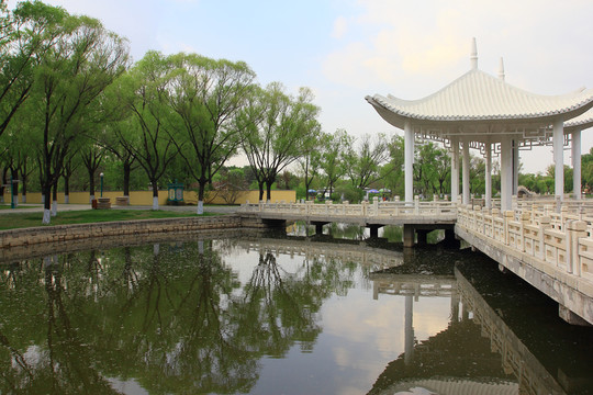 天鵝湖