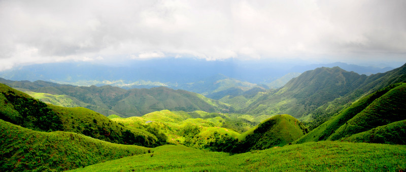 雞籠頂 高山草甸