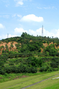 山林