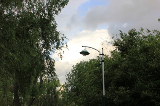 公園雨后