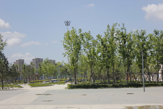 長春西站南廣場