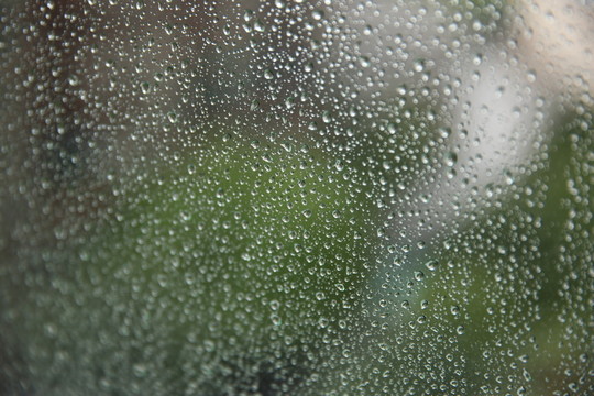 雨珠