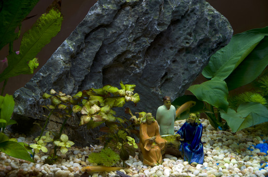 水族箱設(shè)計(jì)
