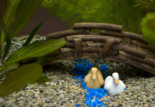 水族箱底風(fēng)光設(shè)計(jì)