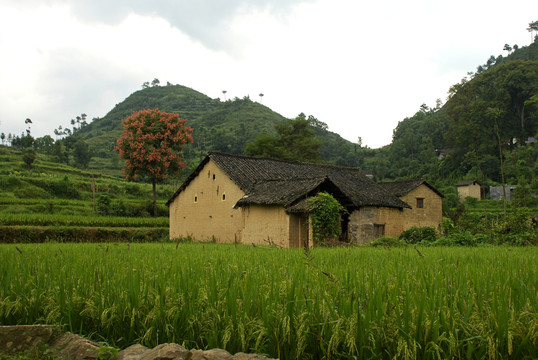 農(nóng)家
