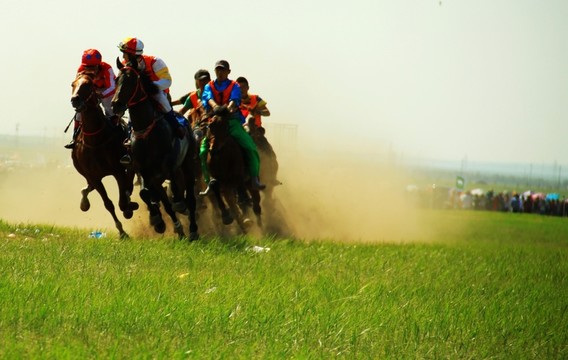 那達幕賽馬 速度賽馬