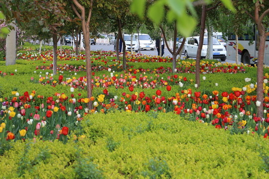 大路邊的花園