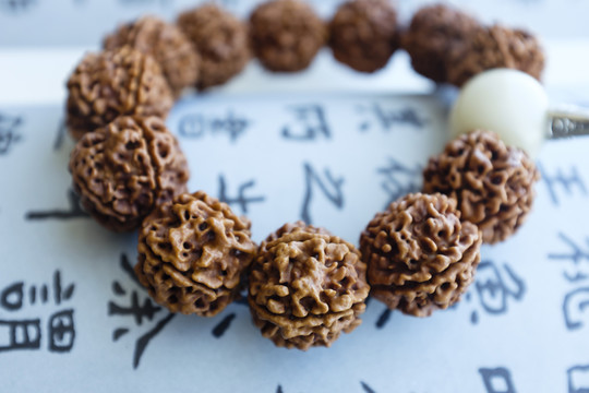 菩提