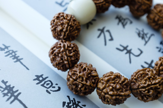 菩提